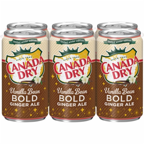 Canada Dry® Bold Vanilla Bean Ginger Ale Mini Cans Perspective: front