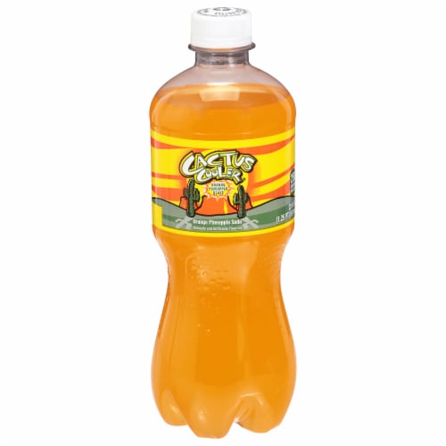 Cactus Cooler Orange Pineapple Soda Pop, 12 Fl Oz, 12 Pack Cans - Retail  Shopsy