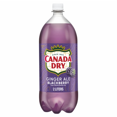 Canada Dry Blackberry Ginger Ale Soda Bottle Perspective: front