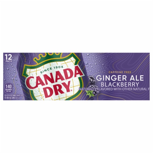 Canada Dry Blackberry Ginger Ale Soda Cans Perspective: front