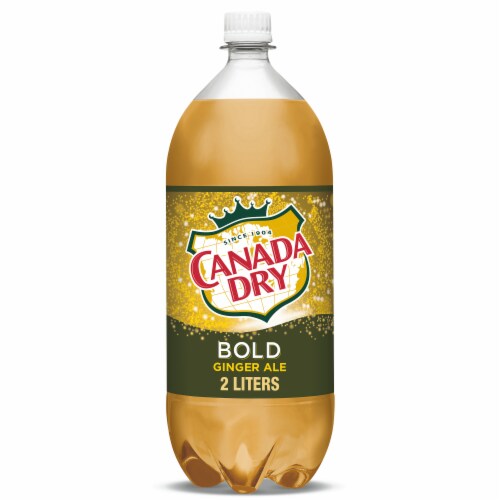 Canada Dry® Bold Ginger Ale Soda Bottle Perspective: front