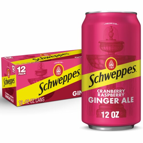 Schweppes® Cranberry Raspberry Ginger Ale Cans Perspective: front
