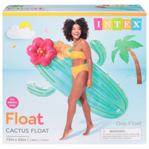 Intext Cactus Float Perspective: front