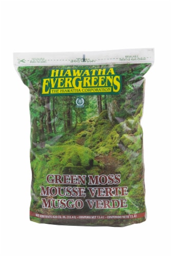 Hiawatha Evergreens Green Moss Perspective: front