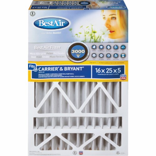 BestAir 16 In. x 25 In. x 5 In. Carrier/Bryant MERV 13 Deep Pleat 