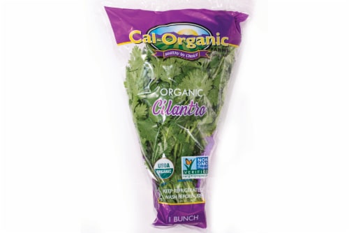 Organic Cilantro Perspective: front