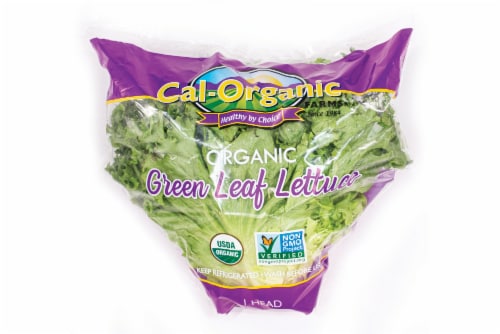 Cal-Organic Green Leaf Lettuce Perspective: front