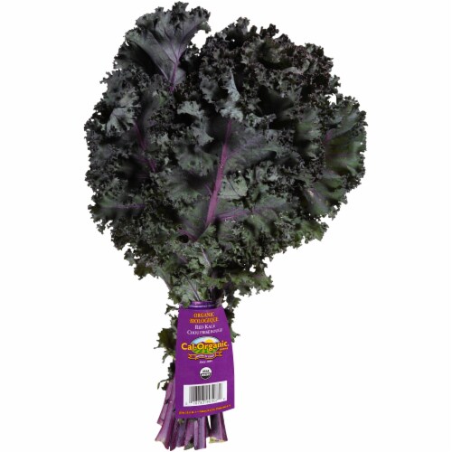 Grimmway  Organic Red Kale Perspective: front