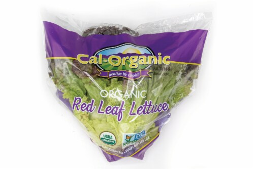 Cal-Organic Red Leaf Lettuce Perspective: front