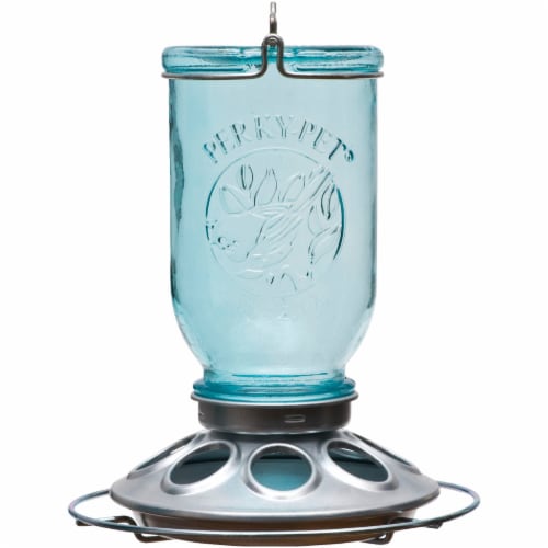 Perky-Pet® Mason Jar Glass Wild Bird Feeder - Blue Perspective: front