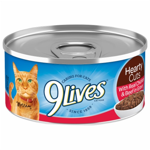 9Lives® Tender Slices with Beef in Gravy Wet Cat Food Perspective: front