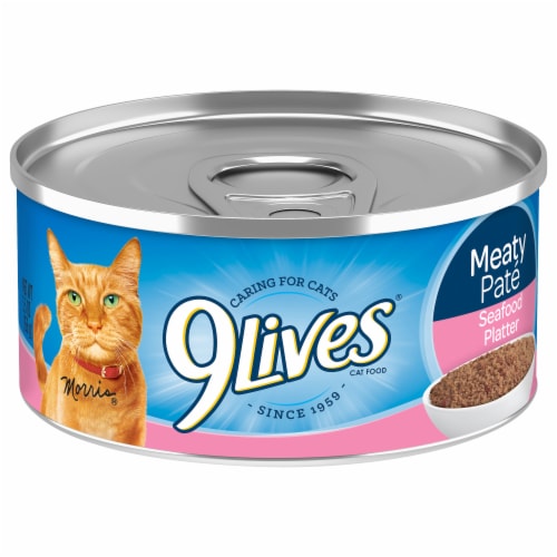 cat cat food picks animal for