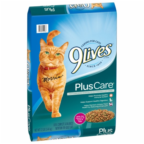 Cat food ralphs top