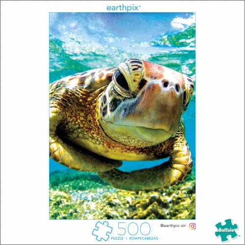 Buffalo Games Earthpix Turtle Swimmer Puzzle Perspective: front