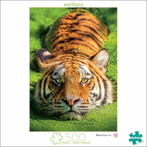 Buffalo Games Earthpix Tiger Eyes Puzzle Perspective: front