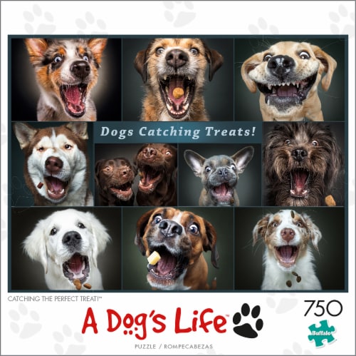 Buffalo Games A Dog's Life Catching the Perfect Treat Puzzle Perspective: front