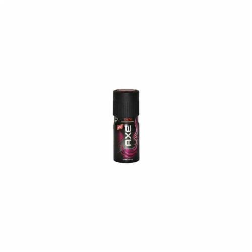 Ritueel Vijftig Riskeren AXE Excite Body Spray Deodorant, 4.0 oz - Pick 'n Save