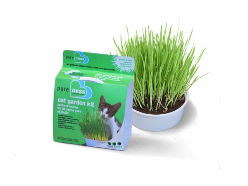 Van Ness Oat Garden Kit Perspective: front