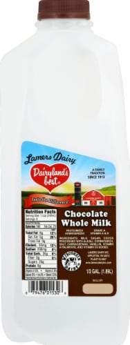 Lamers Dairy Dairyland's Best® Chocolate Whole Milk Perspective: front