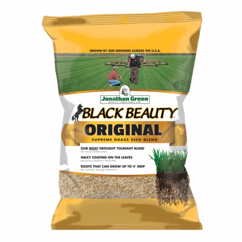 Jonathan Green Black Beauty Original Lawn Yard Grass Seed Mix Pounds Piece King