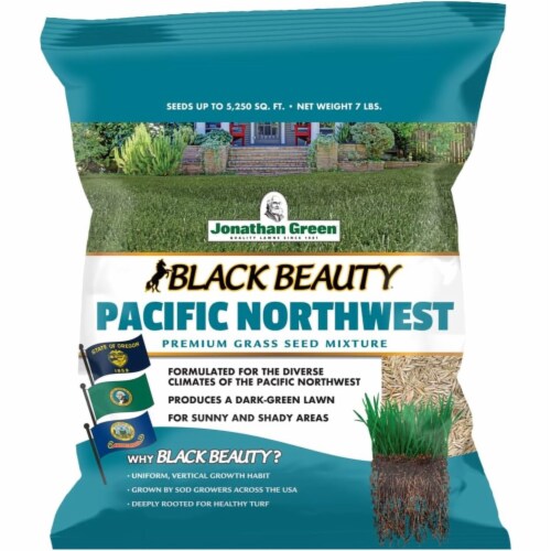 Jonathan green on sale black beauty