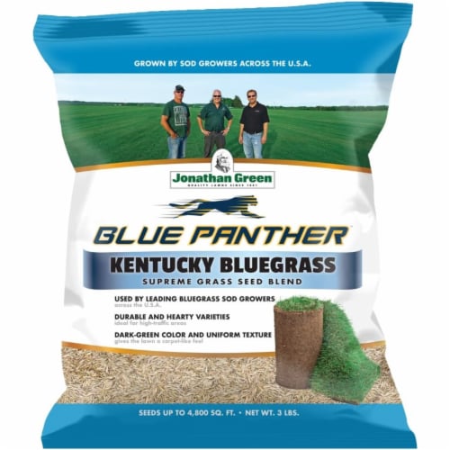 Jonathan Green (#11970) Blue Panther Kentucky Blue Grass Blend Seed Mix, 3# bag Perspective: front