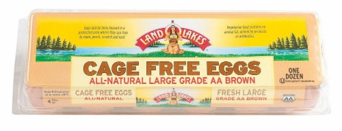 Land O' Lakes Cage Free Grade AA Large Brown Eggs Perspective: front