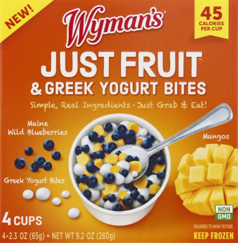 Wyman's Just Fruit Maine Wild Blueberries Mangos & Greek Yogurt Bites Perspective: front