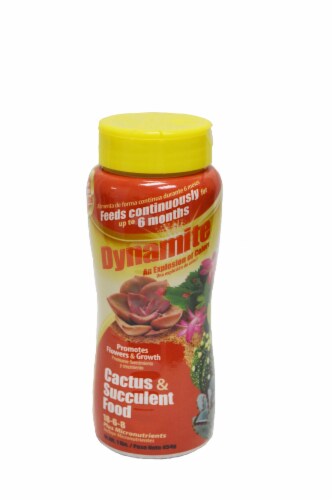 Dynamite Cactus & Succulent Food Perspective: front
