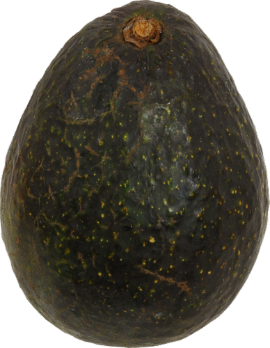 Avocado Perspective: front