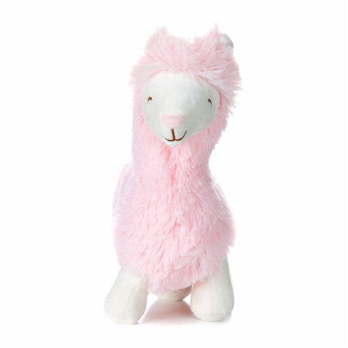 Carter's musical plush outlet