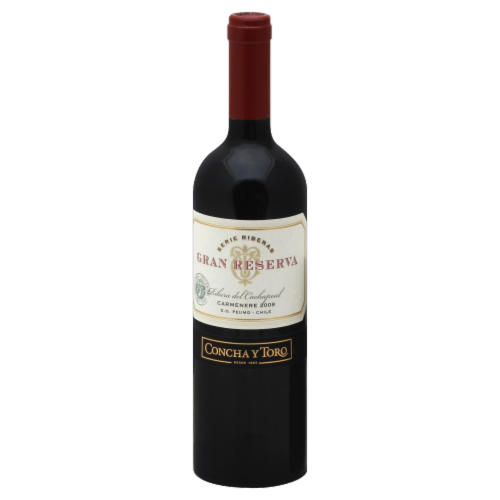 Concha y Toro Gran Reserva Chile Red Wine Perspective: front