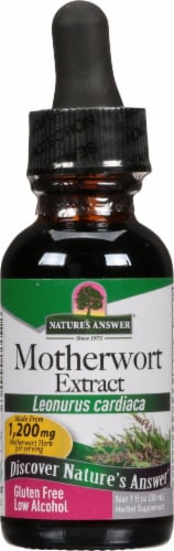 Nature's Answer Motherwort Herbal Supplement 2000mg Perspective: front