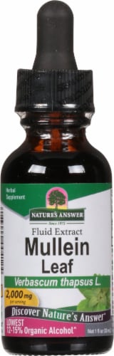 Nature's Answer Mullein Herbal Supplement 2000mg Perspective: front
