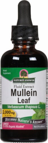 Nature's Answer Mullein Herbal Supplement 2000mg Perspective: front
