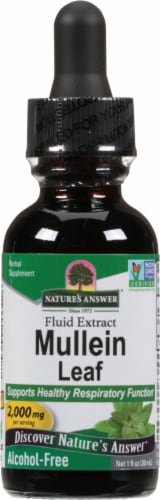 Nature's Answer Mullein Herbal Supplement 2000mg Perspective: front