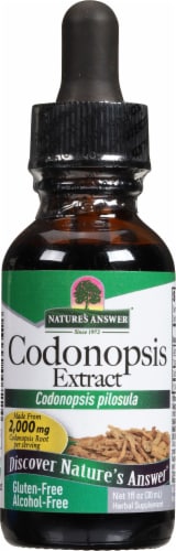 Nature's Answer Alcohol-Free Codonopsis Extract 2000mg Perspective: front