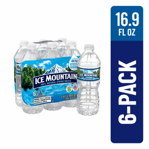 Ice Mountain 100% Natural Spring Water 20oz Bottle - Refreshing and  Eco-Friendly Water in Plastic Container - Enjoy the Crisp Taste of Nature  in the Water department at