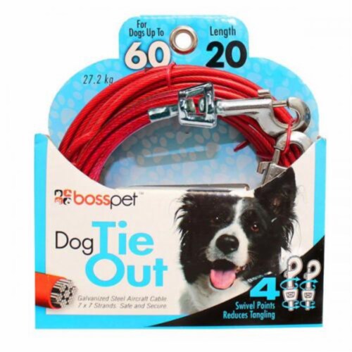 Big dog tie out outlet