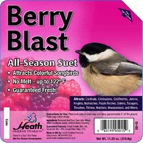 Heath Manufacturing® Berry Blast All-Season Suet Perspective: front