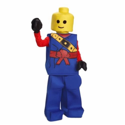 Lego Costume  Halloween costumes for kids, Lego costume, Lego halloween