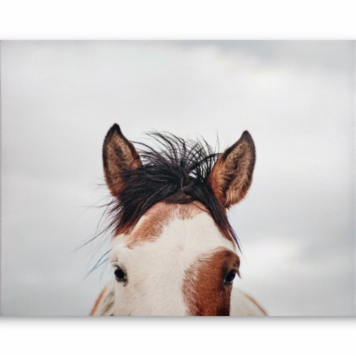 JLA Home It's in the Eyes Printed Canvas Perspective: front