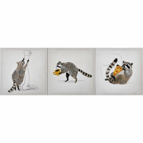 JLA Home Rascally Raccoon Printed Canvas - 3 Pack Perspective: front