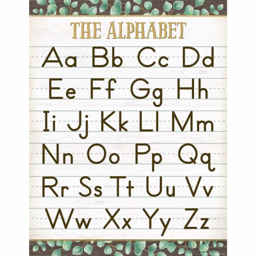 Alphabet Teaching Chart – Steps to Literacy