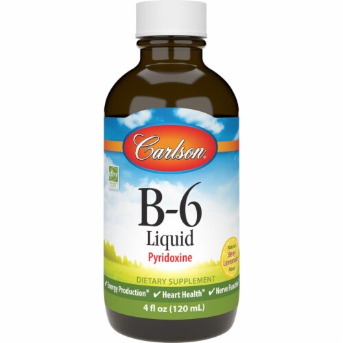 Carlson B-6 Liquid - Berry Lemonade 100 mg 4 fl oz Liq Perspective: front