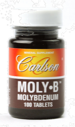 Carlson Moly-B Perspective: front