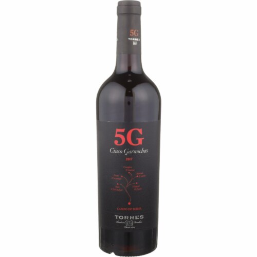 Torres 5G Cinco Garnachas Garnacha Spanish Red Wine Perspective: front