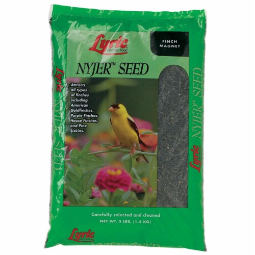 Lyric Finch Wild Bird Food Nyjer Seed 3 lb. - Case Of: 1; Perspective: front