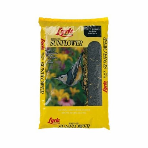 Lyric Black Oil Sunflower Seed 5 Lbs. Perspective: front