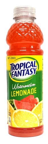 Tropical Fantasy Watermelon Lemonade Cocktail Perspective: front